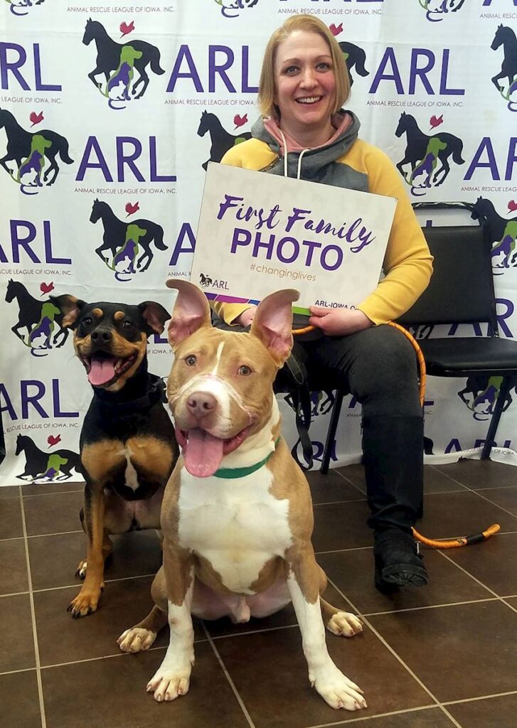 On January 18, an Animal Rescue League of Iowa Animal Control Officer (ARL ACO) assisted the Des Moines Police Department (DMPD) on a call to save a dog in distress at the 2800 block of Boston Ave. The young, male dog was inside the home with facial swelling nearly 4x the normal size.