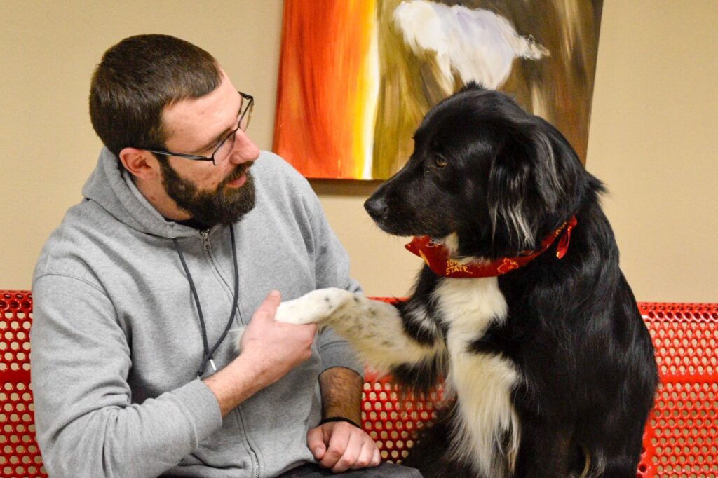 The ARL is known as a national leader in animal behavior, but a first-of-its-kind partnership has given us a chance to pass on our knowledge to help street dogs overseas.

Dimitrije Radanovic of Bosnia and Herzegovina (BiH) began interning at the ARL in early December with the goal of learning everything he could about dog behavior and training. Next month, he'll take that knowledge back with him to BiH to help animal shelters working with the large population of street dogs in the region.