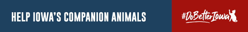 In spite of everyone's efforts this legislative session, Senate Majority Leader Jack Whitver (R-Ankeny) and Senate President Charles Schneider (R-WDSM) couldn't be persuaded to bring companion animal cruelty bill HF737 to the floor for a vote.