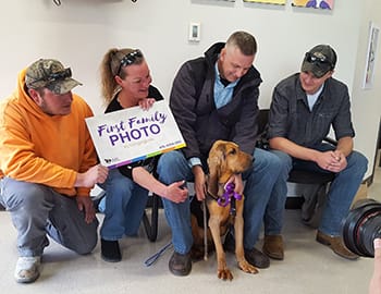Officals found multiple dogs' bodies in various stages of decay, in and around kennels covered in feces, and with their collars still on their remains.