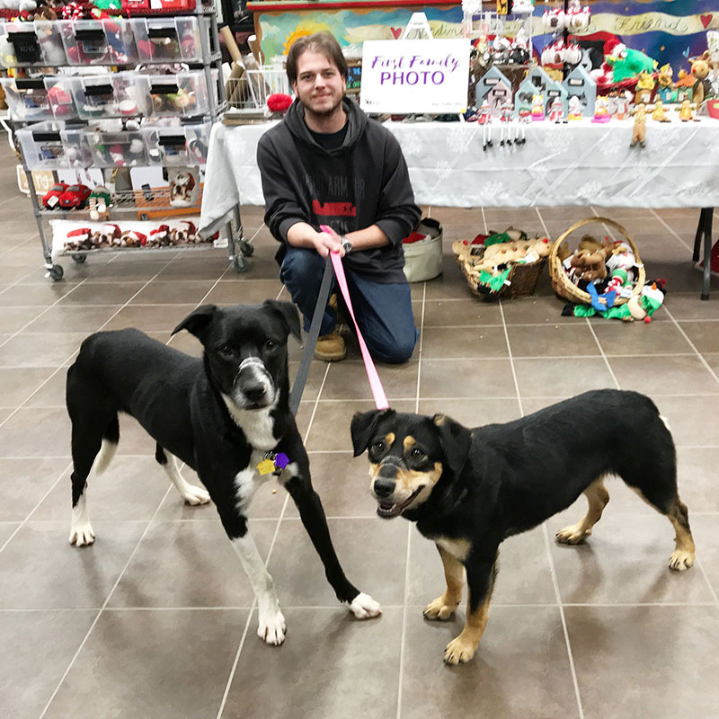 Three dogs arrived at the ARL together, two of them were adult dogs with deep indentations, abrasions, and scarring around their muzzles and jaws. Upon further inspection of their kennel, ARL officials discovered two thin, black bungee cords that were an exact match to the indentations on the dogs' muzzles.