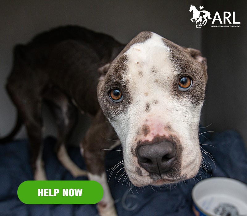 09014_Margot eappeal_Header