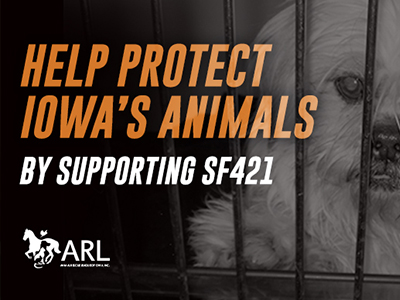 Updated 1/18/18. Iowa ranks 49th in the nation for the effectiveness of our animal cruelty laws. Too often we see cases where the penalties don't seem to “fit the crime”, due to lax enforcement, generous plea deals, and weak sentencing. SF421 is the result of lessons learned by law enforcement, prosecutors, and a survey of best practices across the nation.