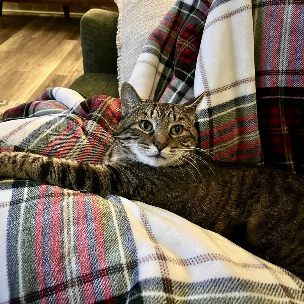 Buddy -- Bonded Buddy With Boris