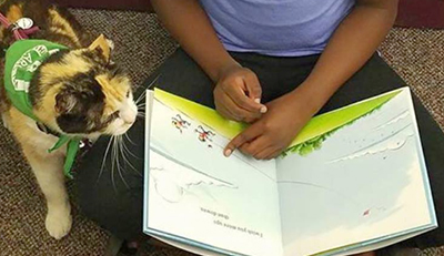 TheraPet-Romi-@-library