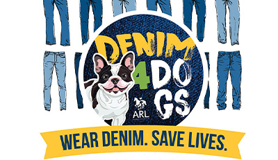 denim-for-dogs denim-for-dogs