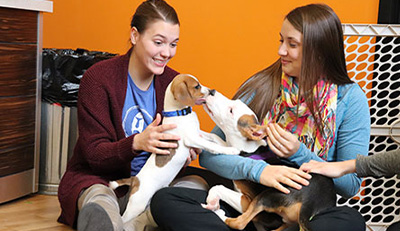puppy-picnic puppy-picnic