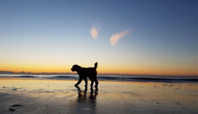 retirement-gifting(1)