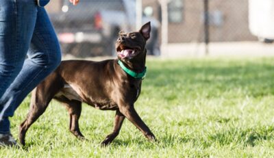 tax-savings-evergreen1