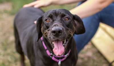 tax-savings-evergreen2