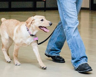 training_goodmanners