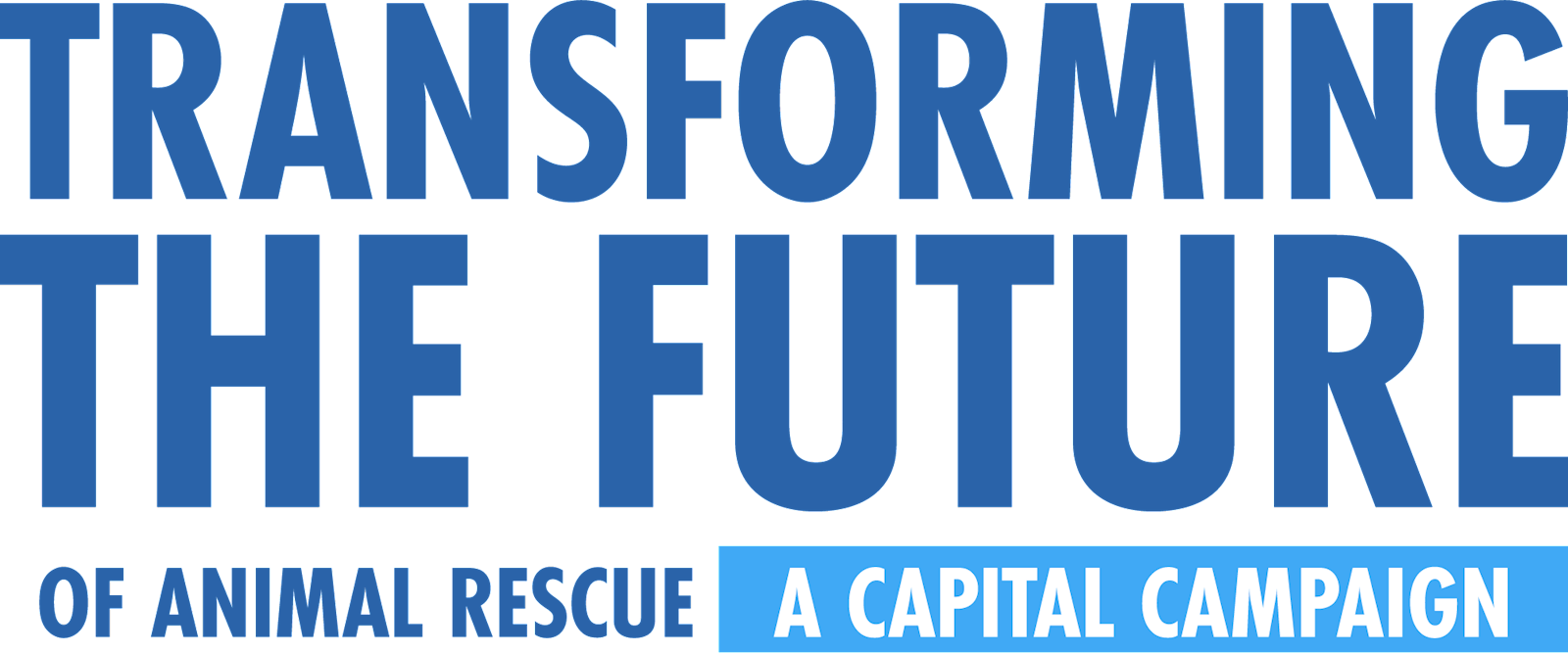 transformingthefuture-nologo