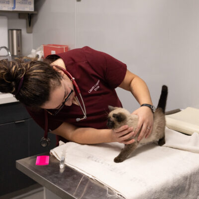 ARLWellnessClinicDec2024-3874