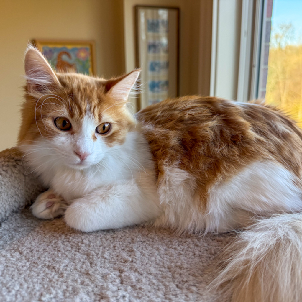 Amina -- Bonded Buddy With Arianda