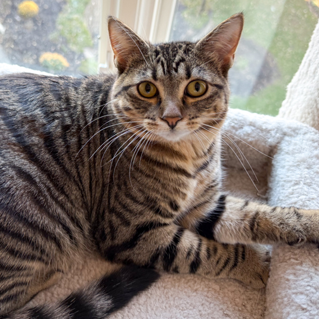 Arianda -- Bonded Buddy With Amina