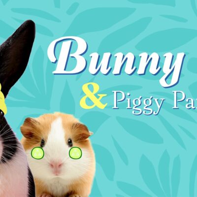 Bunny Spa and Piggy Pampering_FB Cover
