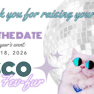 Disco Fev-Fur Save the Date