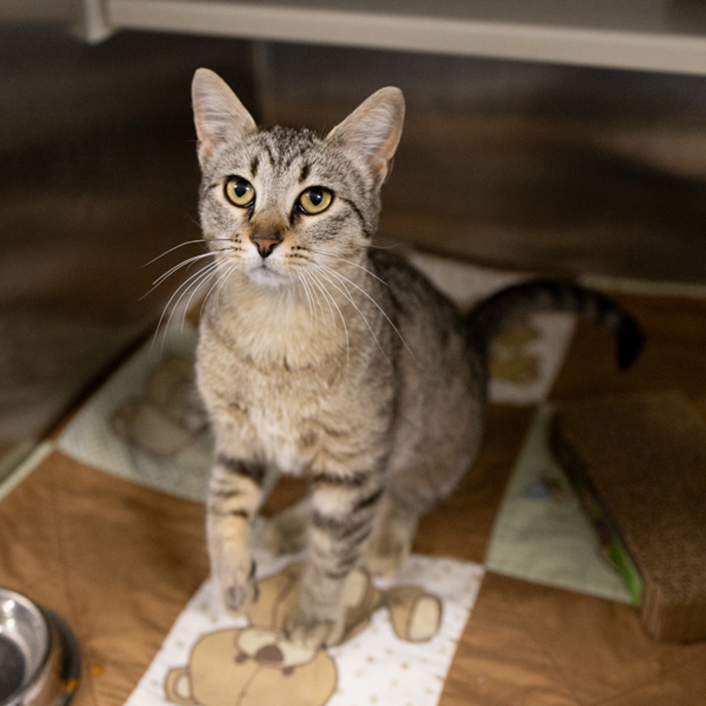 Emily - Bonded Buddies With Charlotte