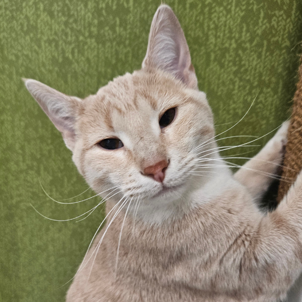 Lena - Bonded With Little Bit