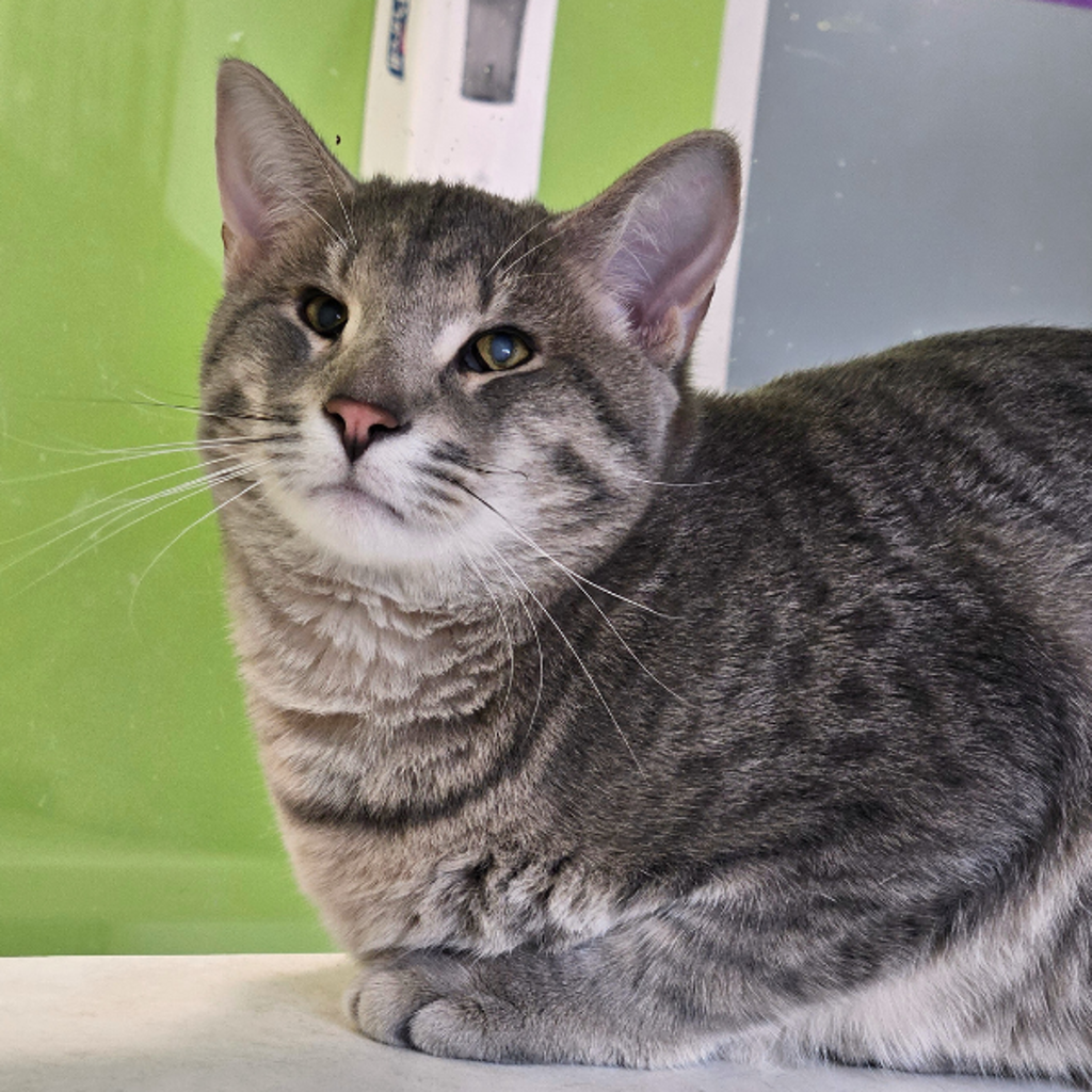 Little Bit -- Bonded Buddy With Lena