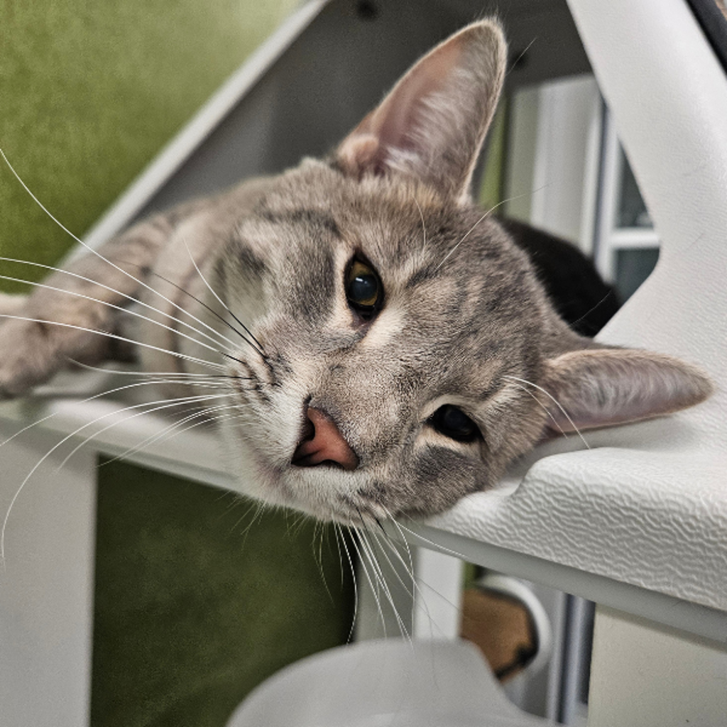 Little Bit - Bonded With Lena