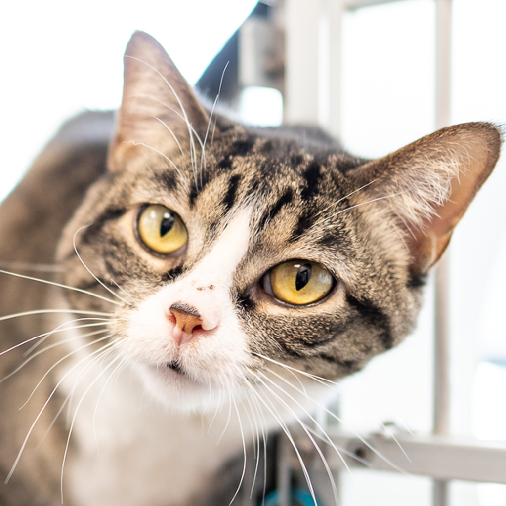 Mina -- Bonded Buddy With Samson