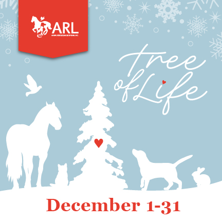 A winter scene with silhouettes of a horse, cat, bird, and dog near a snow-covered tree with a red heart. Tree of Life is written above, and December 1-31 is at the bottom. ARL logo with a horse is in the top left.