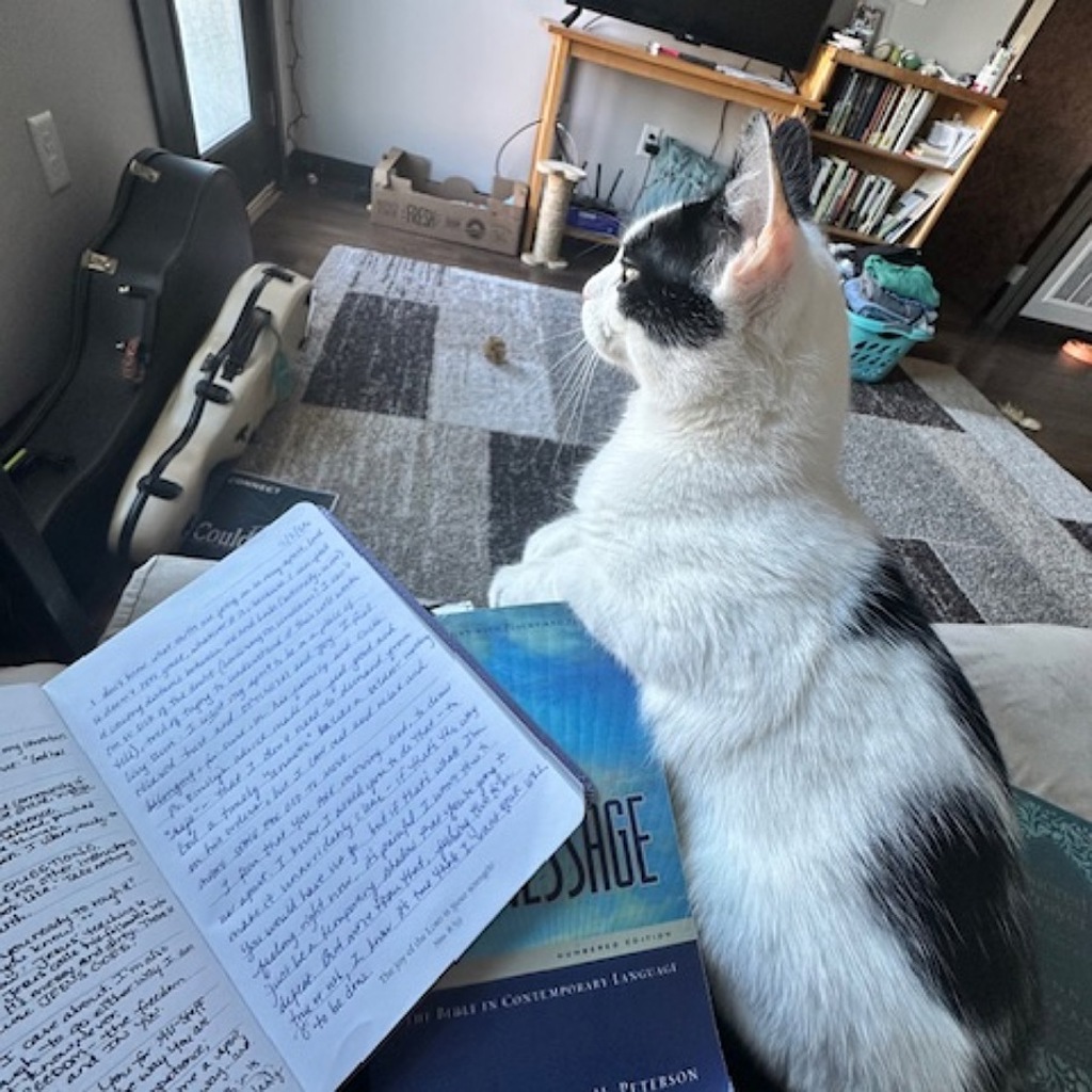 Cakes -- Bonded Buddy With Simba