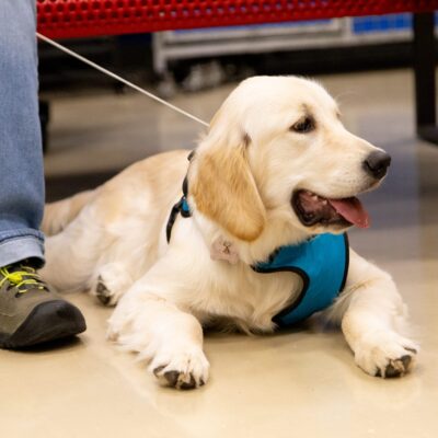 GoodMannersTrainingApril20-4335