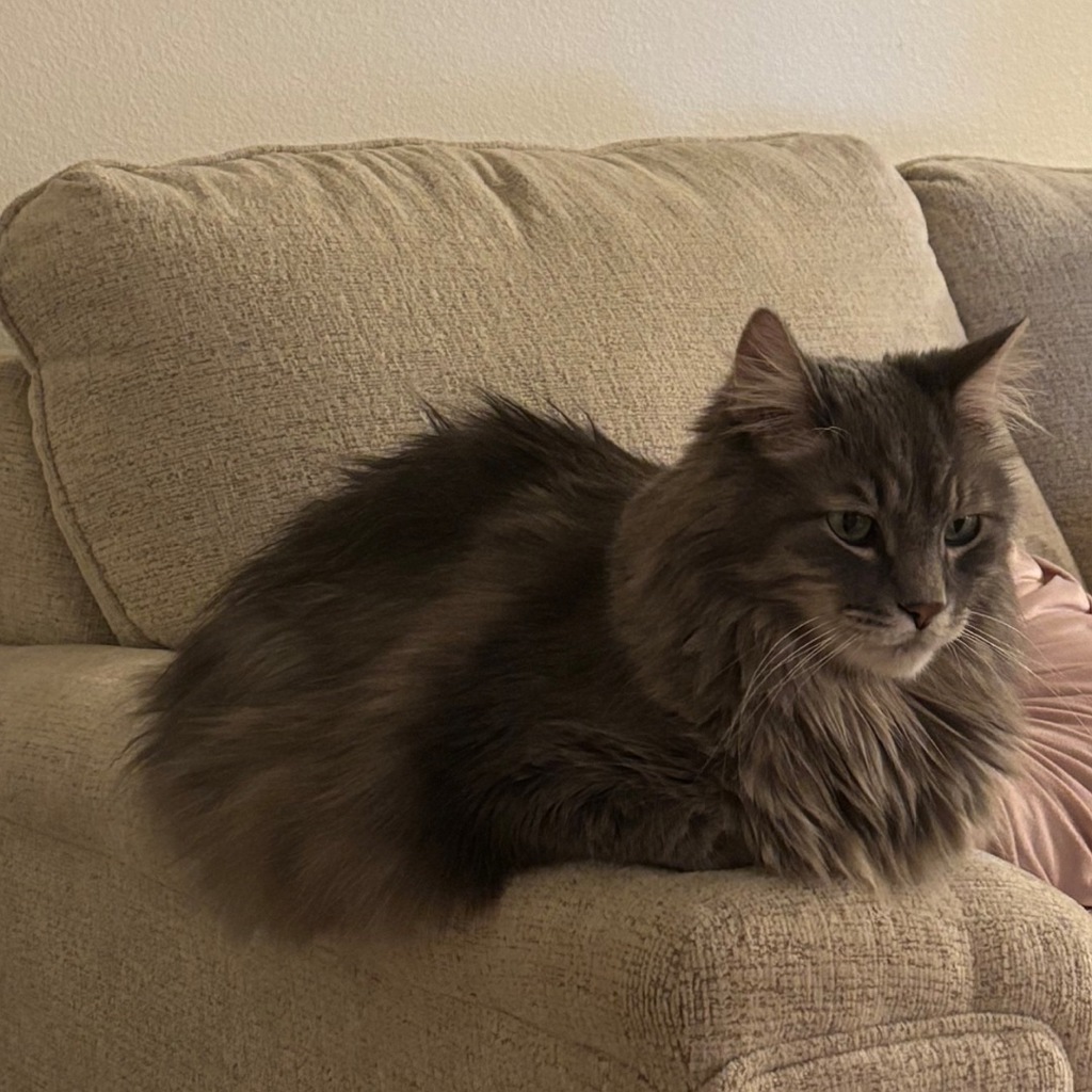 Johnson -- Bonded Buddy With Betsy