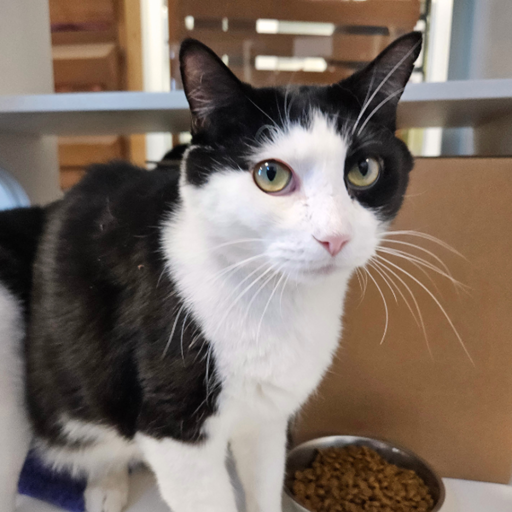 Knighton -- Bonded Buddies With Eva