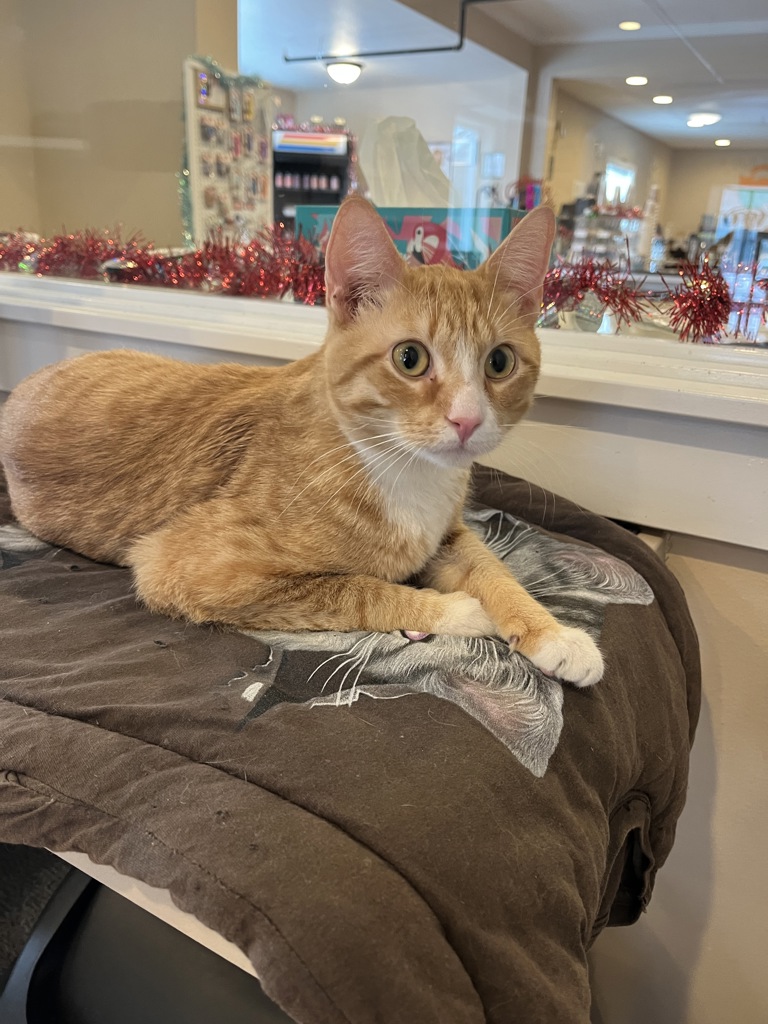 Markel -- Bonded Buddy With Smokey