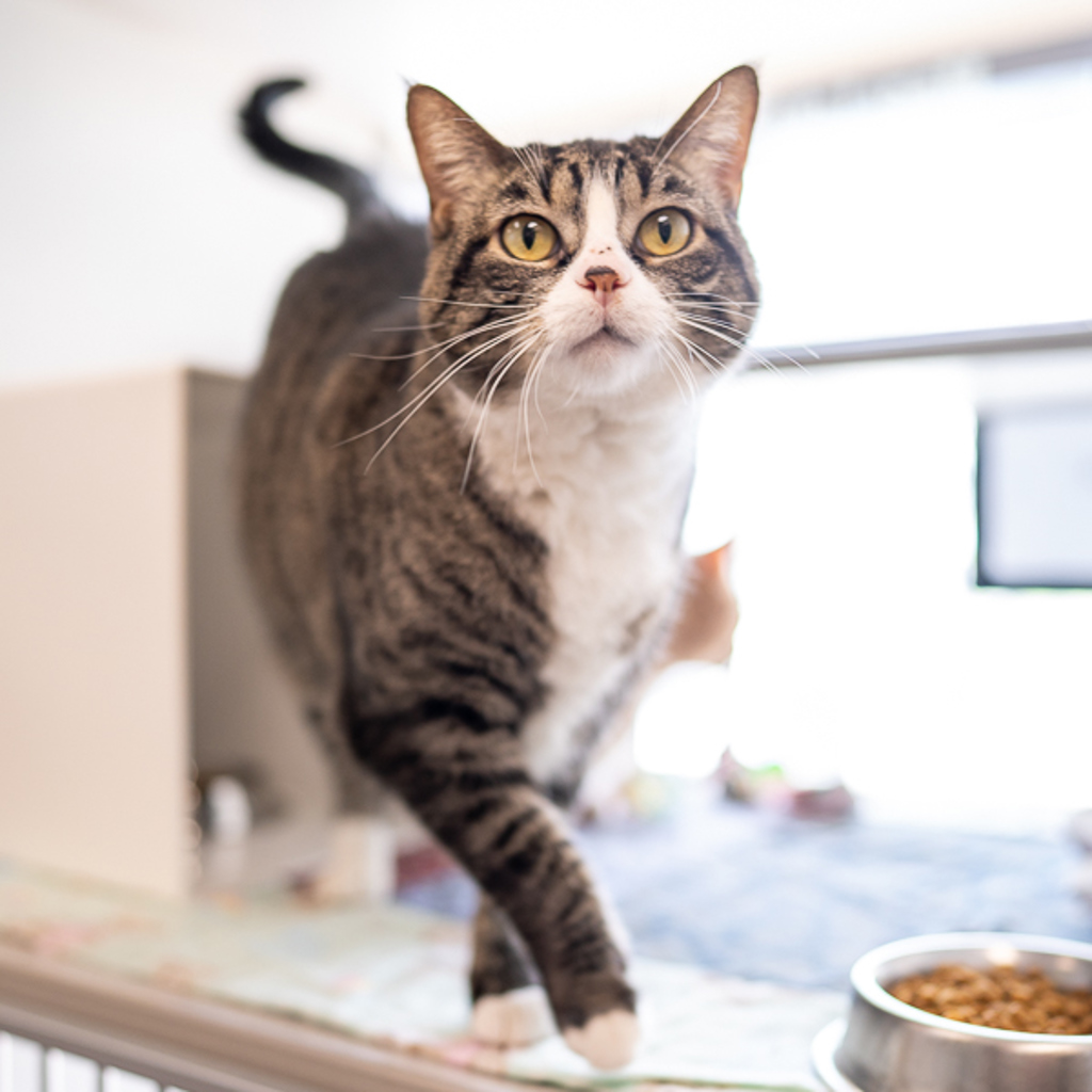 Mina -- Bonded Buddy With Samson