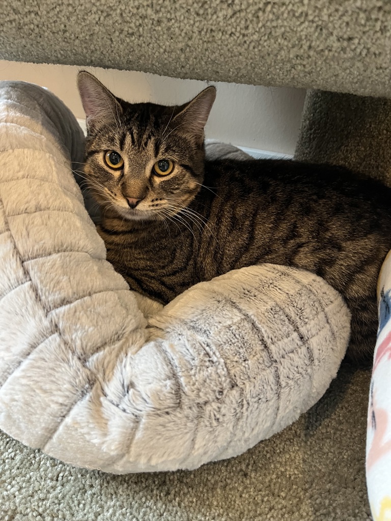 Smokey -- Bonded Buddy With Markel