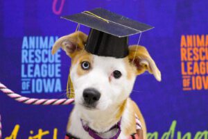 puppy k grad march 2019a