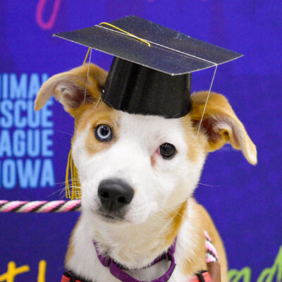 puppy k grad march 2019a
