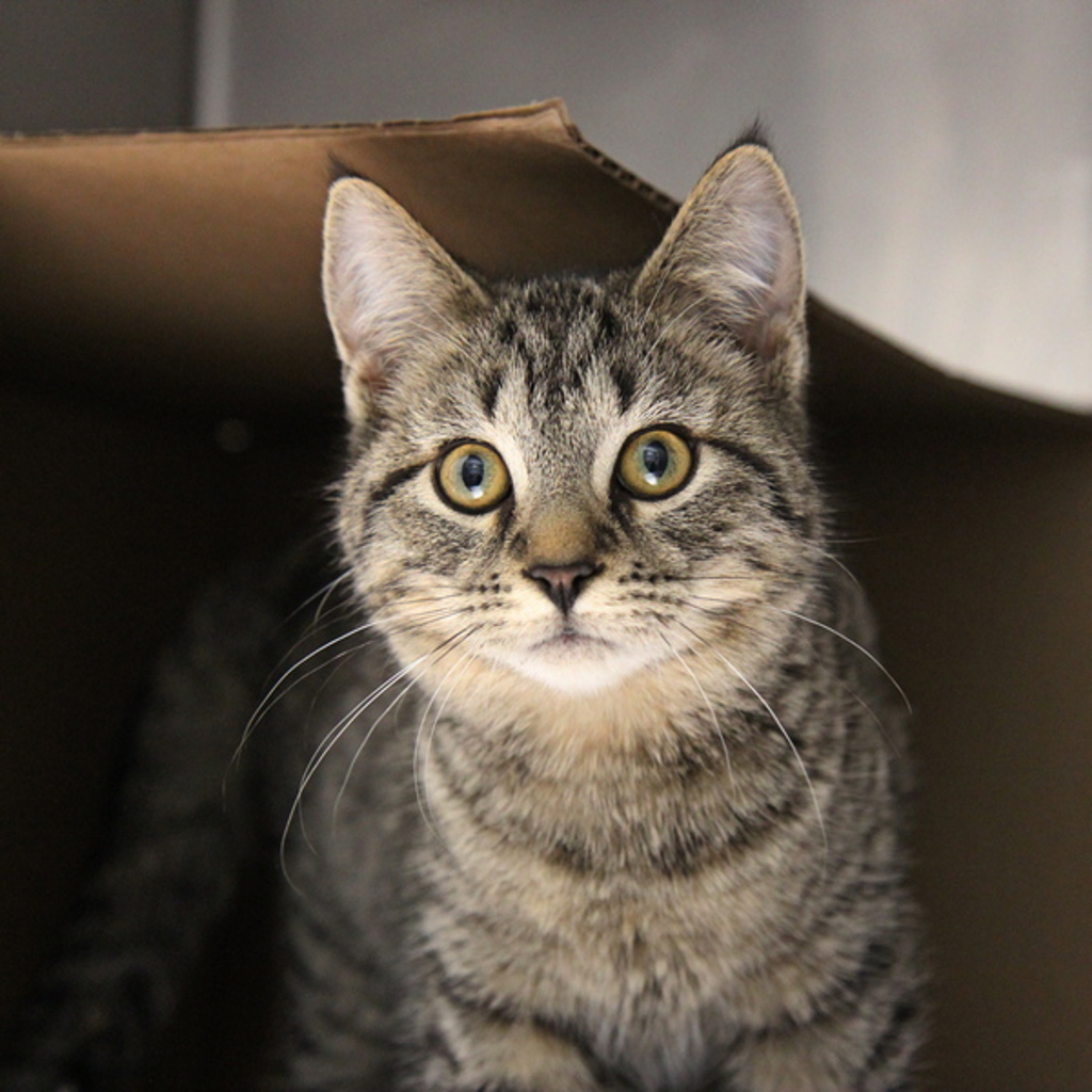 Billy -- Bonded Buddy With Microwave