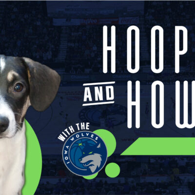 Hoops and Howls 2023 Graphics_SPINTERNET Hoops and Howls 2023 Graphics_SPINTERNET