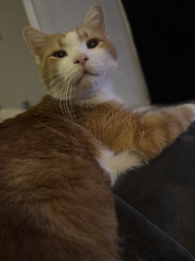 Larry -- Bonded Buddy With Short Stuff