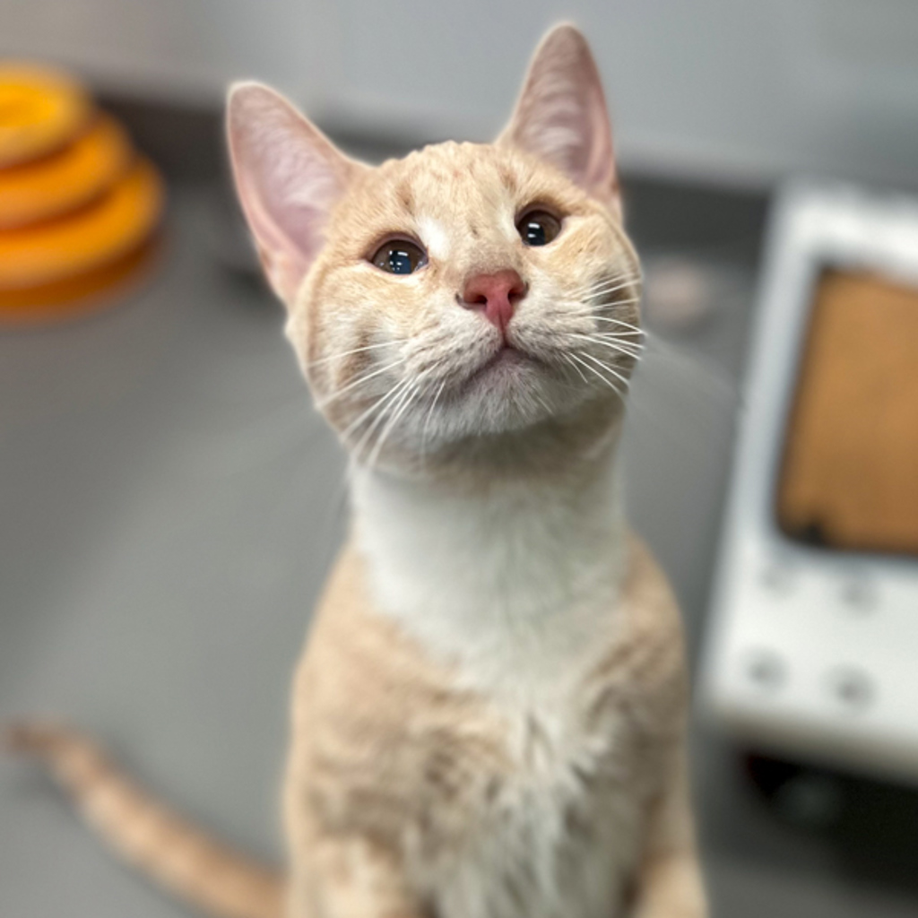 Lena - Bonded With Little Bit