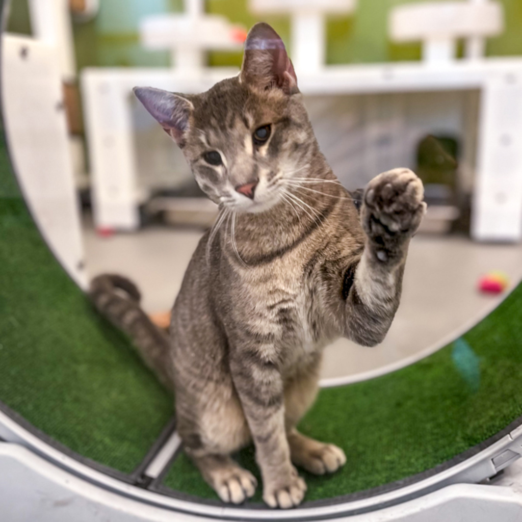 Little Bit -- Bonded Buddy With Lena