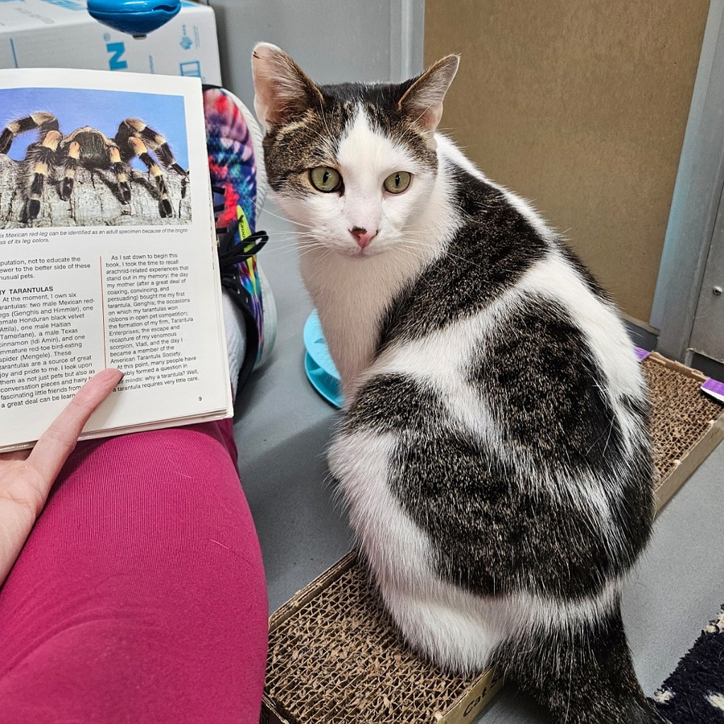 Milo -- Bonded Buddy With Pauly