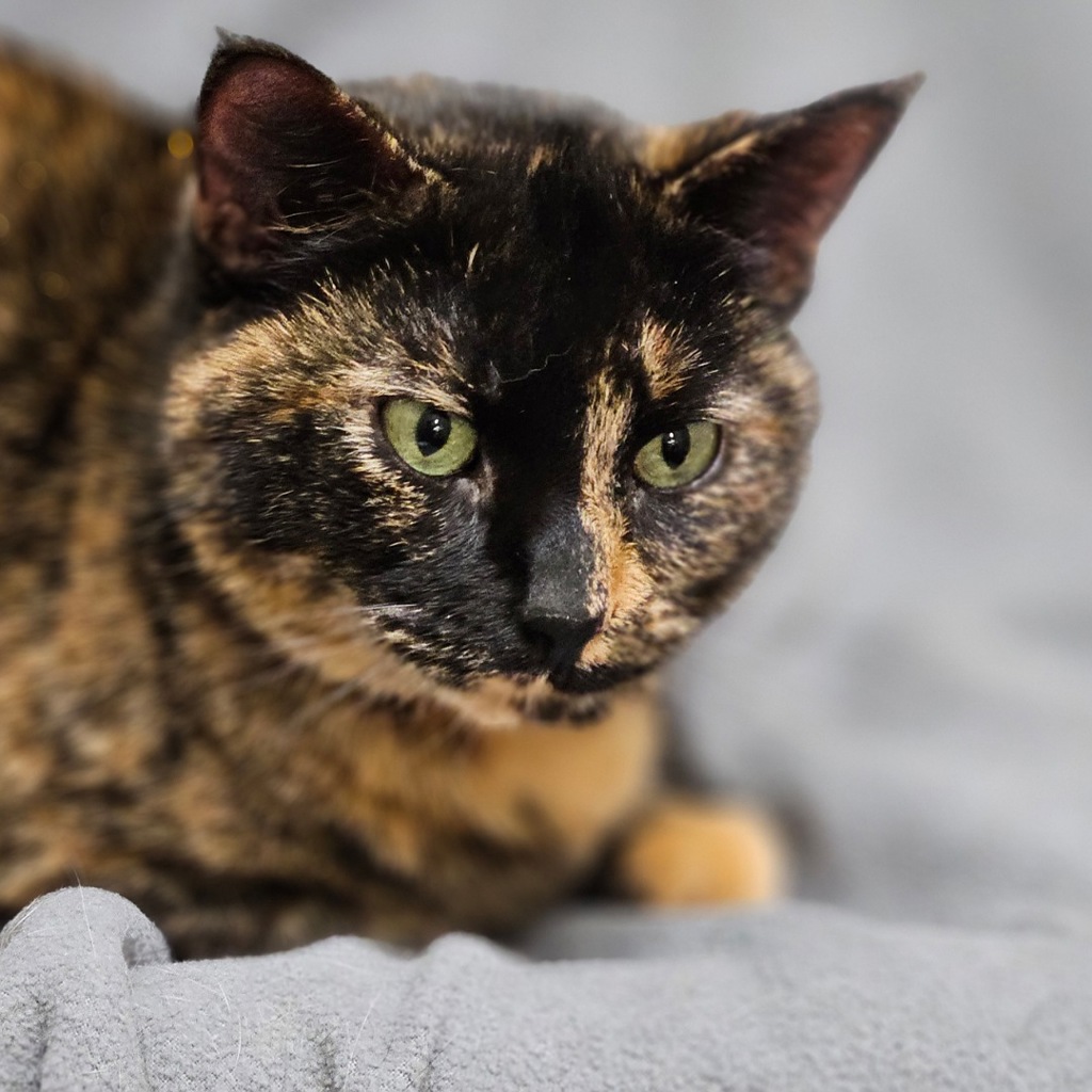 Pauly -- Bonded Buddy With Milo