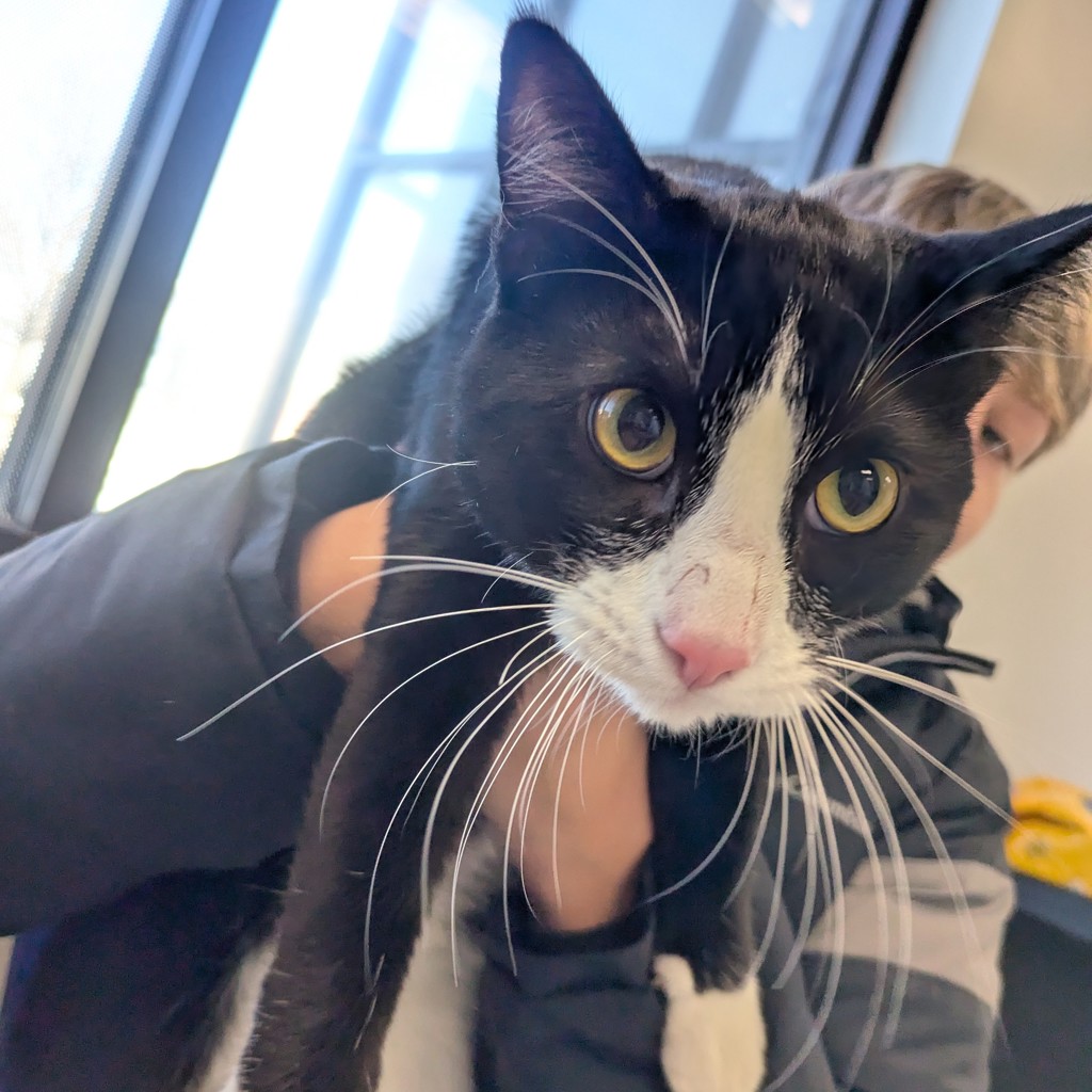 Rick -- Bonded Buddy With Morty