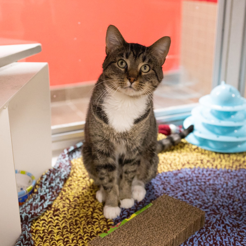 Tiny -- Bonded Buddy With Titan