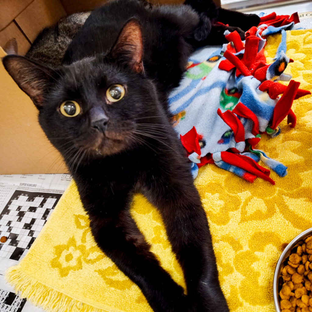 Titan -- Bonded Buddy With Tiny