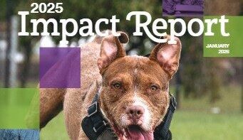 2025ImpactReport_thumb 2025ImpactReport_thumb