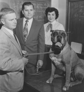 Historical photos of first shelter