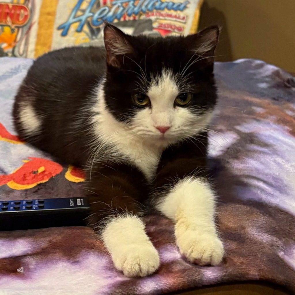 Cindy -- Bonded Buddy With Penny