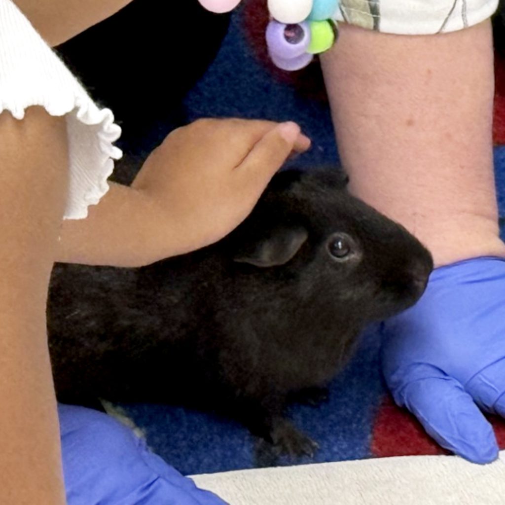 Claire -- Bonded Buddy With Ace